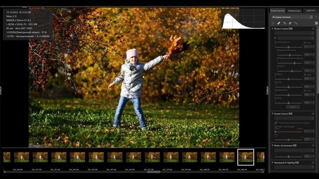 Rolling shutter В Nikon Z9 смотреть онлайн