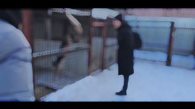 Акции Добрых Дел смотреть онлайн