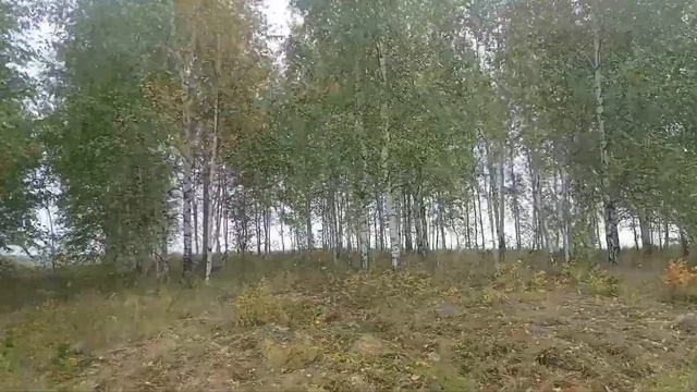 По полям и весям. Выпуск 22. Острый камень. Лев-Толстовкий район. Липецкая область. смотреть онлайн