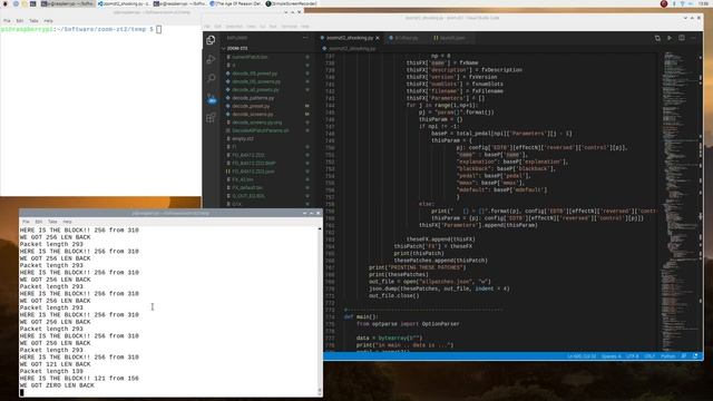Zoom B1/G1XFour: Deriving JSON description of all Patches on device смотреть онлайн