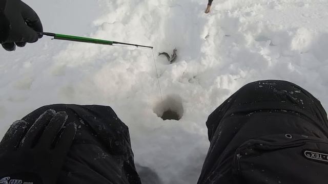 КРАСИВЫЕ ЩУКИ И ОКУНИ ВЫЛАЗЯТ ИЗ ЛУНКИ! ДЕНЬ ВТОРОЙ. смотреть онлайн