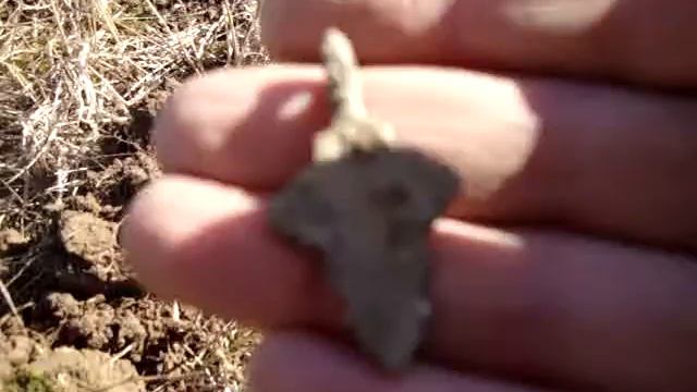 MOV03661 смотреть онлайн