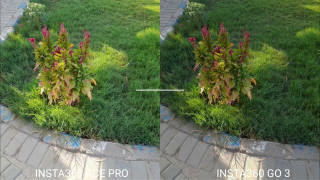 Insta360 Ace Pro Vs Insta360 Go 3 Camera Comparison