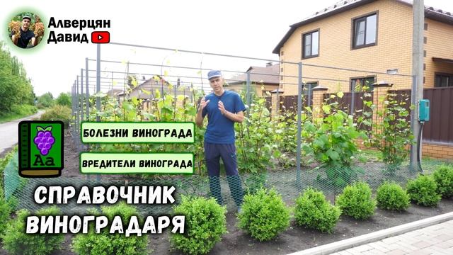 Важная обработка перед цветением, не пропустите! смотреть онлайн