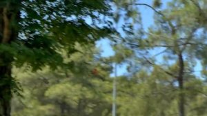 Kimeros Park Holiday Village 5* (Турция/Кемер/Гёйнюк)