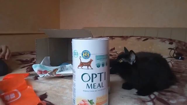 Пятница тринадцатое. Распаковка посылки. Корм Opti meal смотреть онлайн
