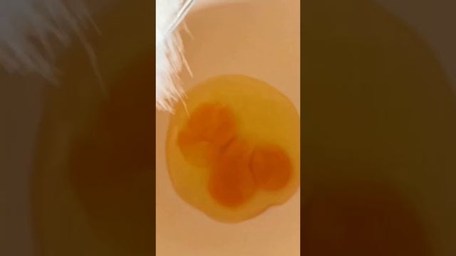 Вафельные трубочки на гриле ! смотреть онлайн