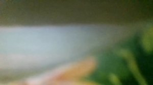 Полюби меня такой(Стая белых журавлей возвращалась домой,я позволила себе быть немножко (наброски)