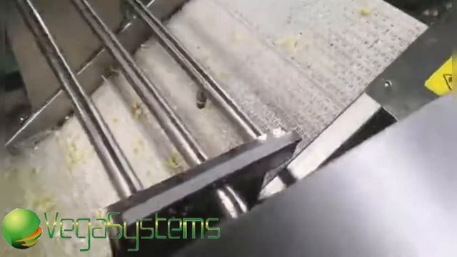 Барботажная мойка овощей и фруктов с нежной кожурой Vega BW 3400 смотреть онлайн