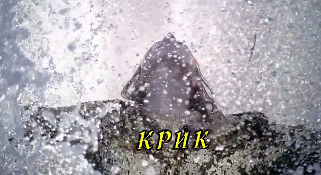 Крик ! Шикарная песня 2020 года | Премьера | Natalie Zhosan