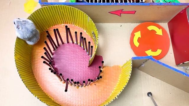 Little Hamster Red Riding Hood vs The Wolf - Mr Hamster Maze #hamsterstories #mazediytraps смотреть онлайн