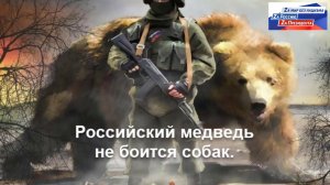 Российский медведь не боится собак..mp4
