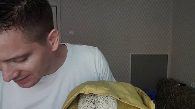 Пристраивать ёжика за БЕСПЛАТНО и под НОВЫЙ ГОД было большой ошибкой. Объясняю почему смотреть онлайн