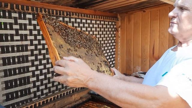Отбор медовых рамок из улья для получения товарного меда смотреть онлайн