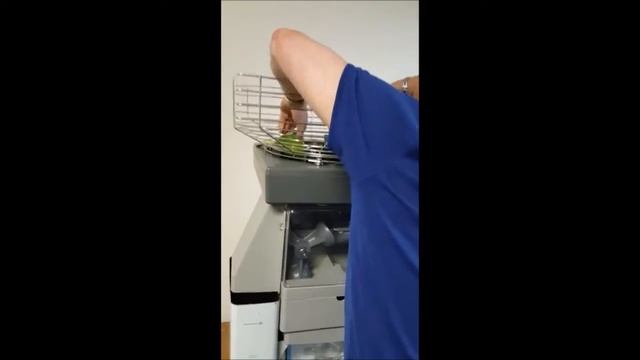 Zummo Z40 Citrus Juicer Squeezing Limes смотреть онлайн