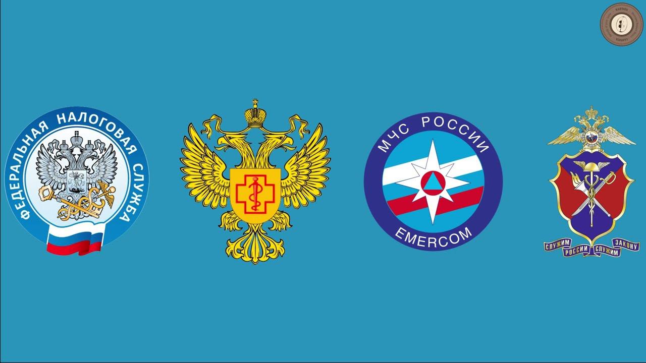Виды проверок смотреть онлайн