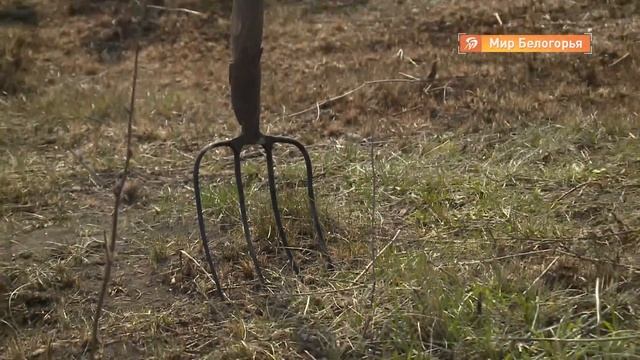 МЧС напомнило об опасности сжигания травы и мусора смотреть онлайн