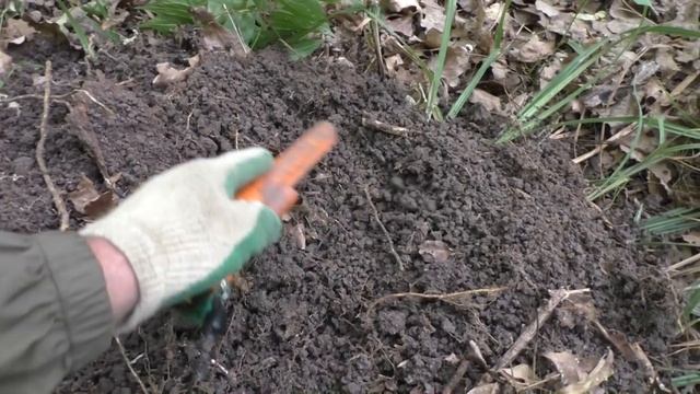 Артефакты и монеты на старинной дороге смотреть онлайн