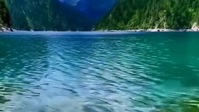 НЕ ПЛАНИРУЙ НЕУДАЧУ (Валентина Лескова) | НАСТОЯЩИЙ СТИХ СО СМЫСЛОМ | СТИХИ / ПОЭЗИЯ / ПРОЗА смотреть онлайн