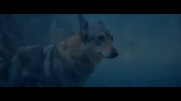 Руслан Добрый волки Мы в ночных лесах