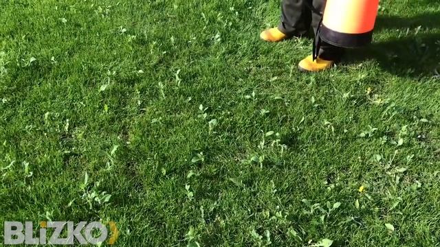 7 табу в уходе за газоном, которые угробят его, и как этого не допустить смотреть онлайн