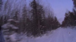 Золотая лихорадка на мягкое золото прошла. Сибирский соболь никому не нужен! Закрываем капканы.