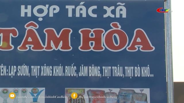Nông nghiệp - Nông dân - Nông thôn: Phát triển làng nghề gắn với xây dựng sản phẩm đạt OCOP смотреть онлайн