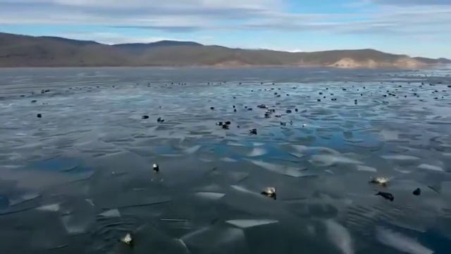 На Байкале сотни нерп выбрались погреться на солнце на первых льдинах смотреть онлайн