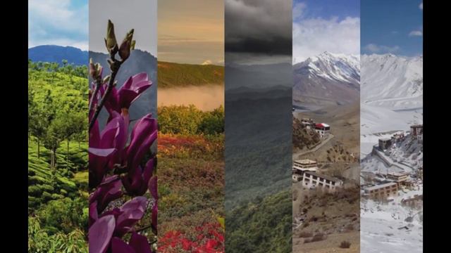 Интересный факт об Индии #индия #мировоззрение #факты #временагода