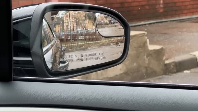 СКОЛЬКО СТОИЛ АВТОМОБИЛЬ И КАКИЕ ЕСТЬ НЮАНСЫ?