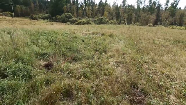 Коп металлолома! Копаем с напарником хороший металл! смотреть онлайн