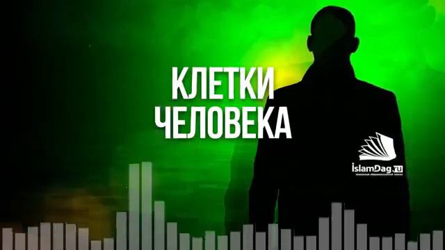 Живут ли клетки человека после Смерти؟ смотреть онлайн