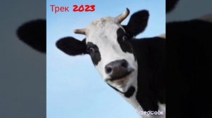 песня у коровы нет забот в 2023 году