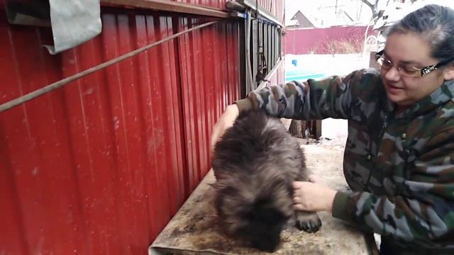 Верный смотреть онлайн