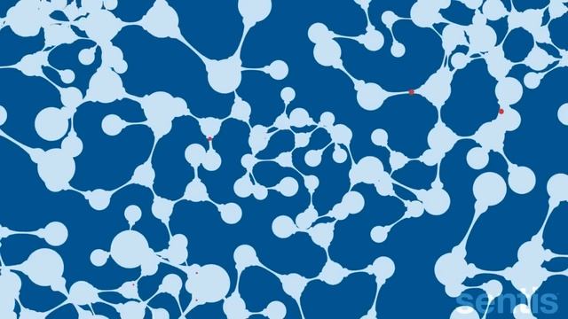 How the brain works смотреть онлайн