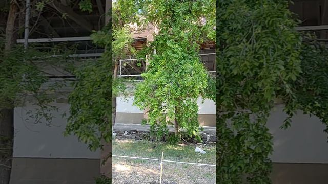 СЕВЕРОДОНЕЦК СПОРТИВНАЯ ШКОЛА #severodonetsk смотреть онлайн