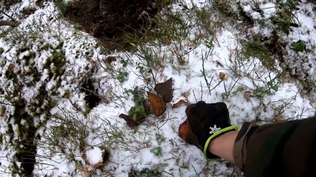 Девка призналась в ЛЮБВИ в лесу и ЕЕ я нашел в конце смотреть онлайн