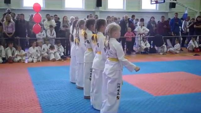 Первенство г. Барнаула по тхэквондо ИТФ 2018г. смотреть онлайн