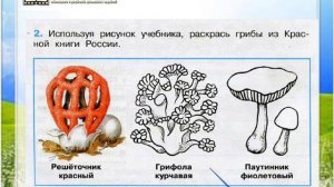 Задание 2 В царстве грибов - Окружающий мир 3 класс (Плешаков А.А.) 1 часть