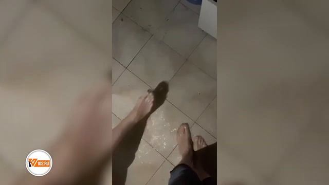 "Нас било током!": квартиры девятиэтажки в Волгограде затопило кипятком из-за порыва стояка смотреть онлайн