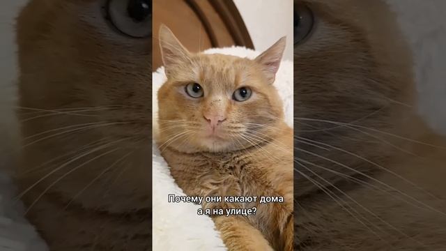 ??? смотреть онлайн