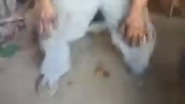 la cagada mas graciosa del mundo смотреть онлайн