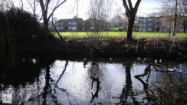 K&F Concept Autofocus Mount Adapter EF-FX AF - Canon to Fujifilm! смотреть онлайн