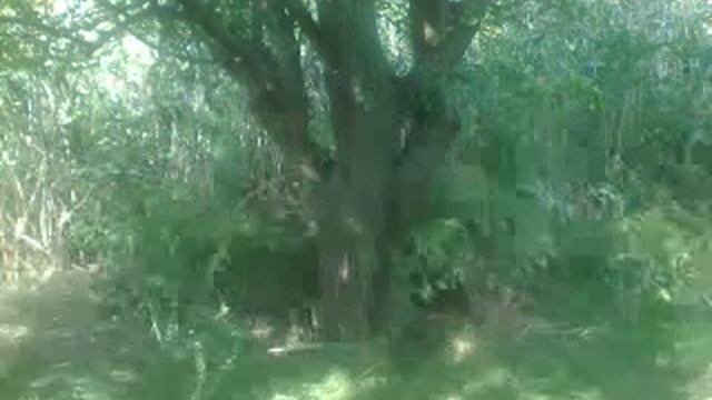 Маскхалат своими руками,практическое применение. смотреть онлайн