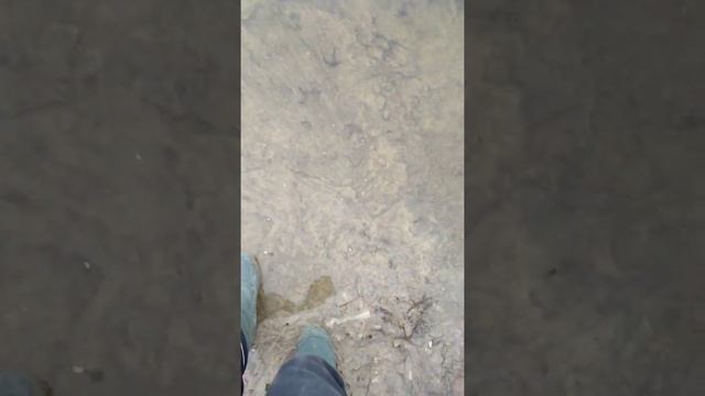 Зимняя Рыбалка в Астраханской области. Вторая серия.