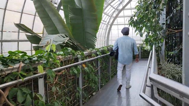 US Botanic Garden Washington DC / Ботанический сад США, Вашингтон смотреть онлайн