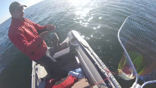 Правильное вываживание рыбы и последующие действия. ЛИКБЕЗ # 1 смотреть онлайн