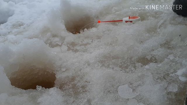Хорошая снасть для сороги,рыбалка на старице реки смотреть онлайн