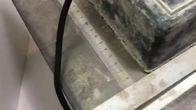 Видео №320336