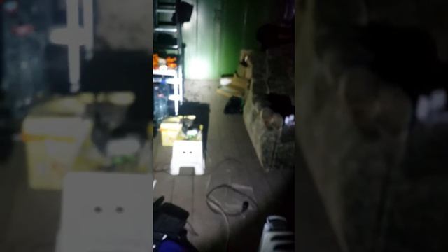 Потребление народных фар и показать как ярко светят! смотреть онлайн